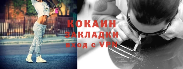 хмурый Михайловск