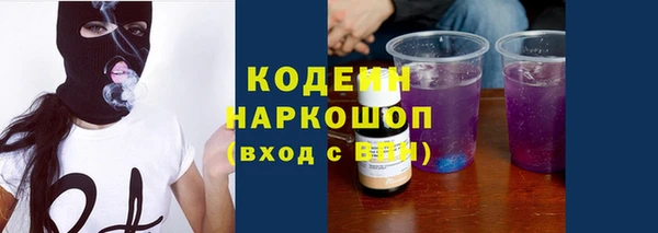 хмурый Михайловск