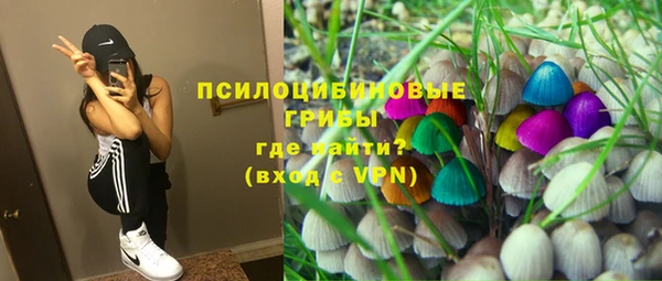 PSILOCYBIN Горняк